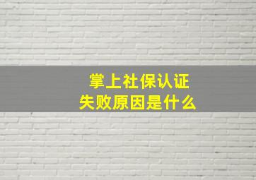 掌上社保认证失败原因是什么