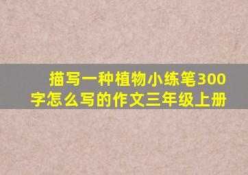 描写一种植物小练笔300字怎么写的作文三年级上册