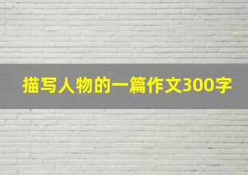 描写人物的一篇作文300字