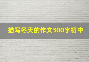 描写冬天的作文300字初中