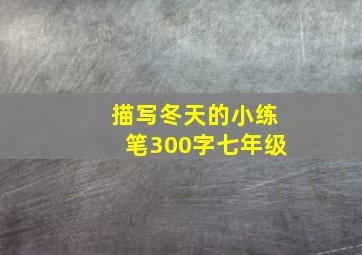 描写冬天的小练笔300字七年级