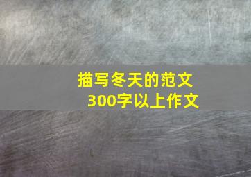 描写冬天的范文300字以上作文