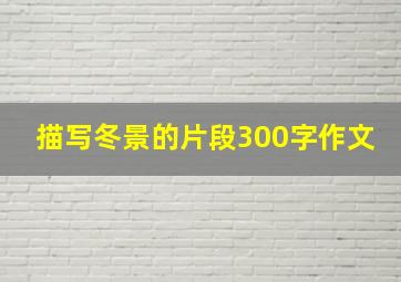 描写冬景的片段300字作文