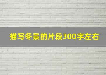 描写冬景的片段300字左右