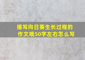 描写向日葵生长过程的作文哦50字左右怎么写