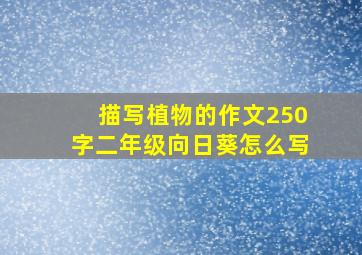 描写植物的作文250字二年级向日葵怎么写