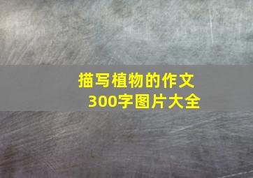 描写植物的作文300字图片大全