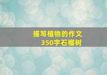 描写植物的作文350字石榴树