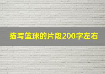 描写篮球的片段200字左右