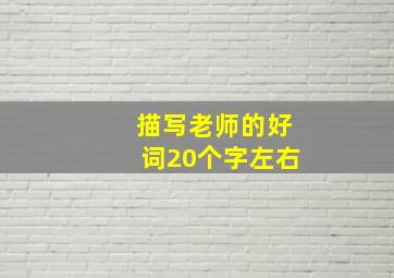 描写老师的好词20个字左右