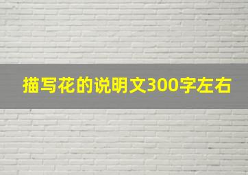 描写花的说明文300字左右