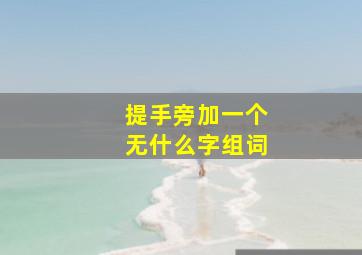 提手旁加一个无什么字组词