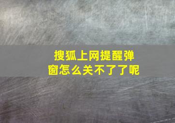 搜狐上网提醒弹窗怎么关不了了呢