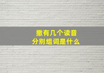 撤有几个读音分别组词是什么