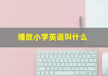 播放小学英语叫什么