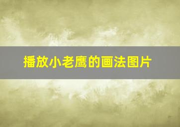 播放小老鹰的画法图片