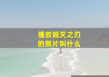 播放毁灭之刃的照片叫什么