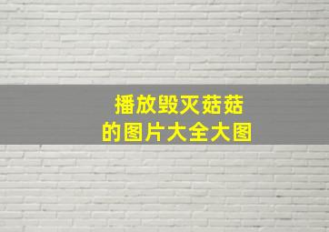 播放毁灭菇菇的图片大全大图