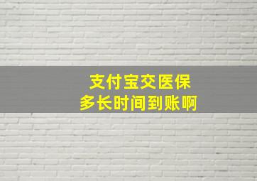 支付宝交医保多长时间到账啊