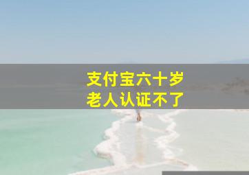 支付宝六十岁老人认证不了