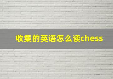 收集的英语怎么读chess