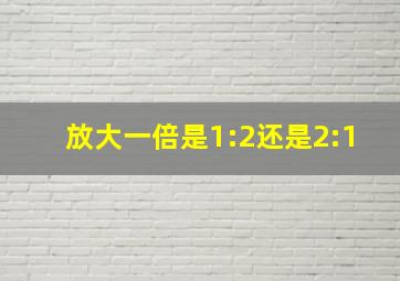 放大一倍是1:2还是2:1