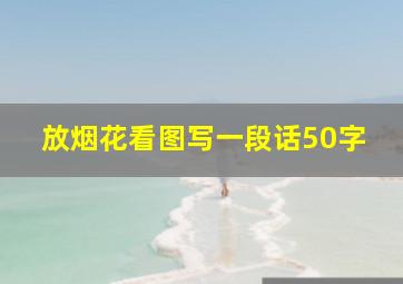 放烟花看图写一段话50字