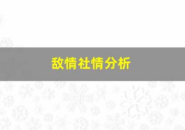 敌情社情分析