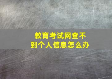 教育考试网查不到个人信息怎么办