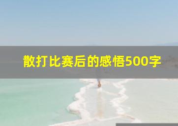 散打比赛后的感悟500字