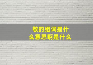 敬的组词是什么意思啊是什么