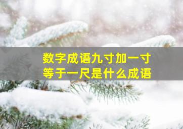 数字成语九寸加一寸等于一尺是什么成语