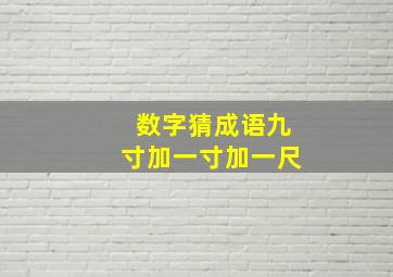 数字猜成语九寸加一寸加一尺