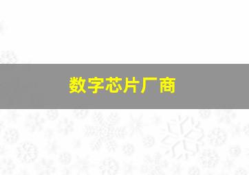 数字芯片厂商