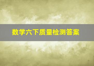 数学六下质量检测答案