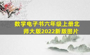 数学电子书六年级上册北师大版2022新版图片