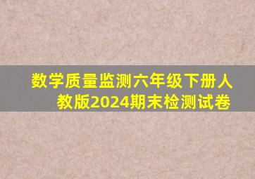 数学质量监测六年级下册人教版2024期末检测试卷