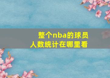 整个nba的球员人数统计在哪里看