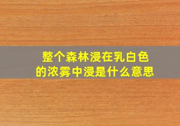 整个森林浸在乳白色的浓雾中浸是什么意思