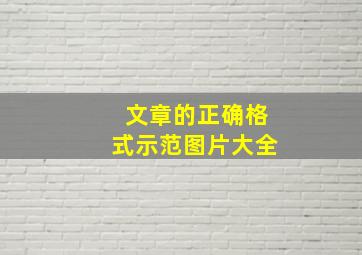 文章的正确格式示范图片大全