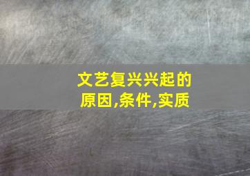 文艺复兴兴起的原因,条件,实质