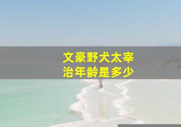 文豪野犬太宰治年龄是多少