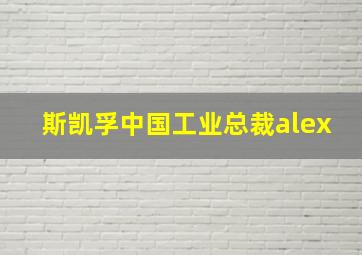 斯凯孚中国工业总裁alex