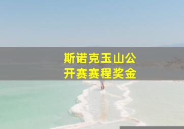 斯诺克玉山公开赛赛程奖金