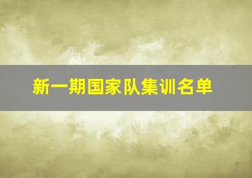 新一期国家队集训名单