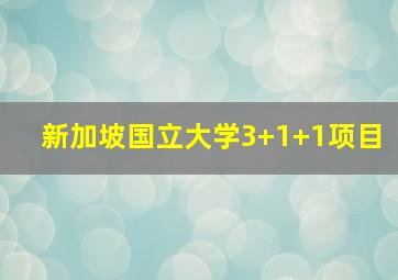 新加坡国立大学3+1+1项目