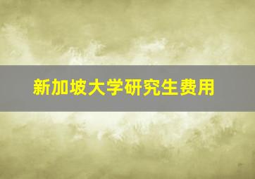 新加坡大学研究生费用