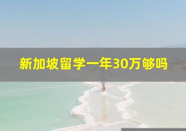 新加坡留学一年30万够吗