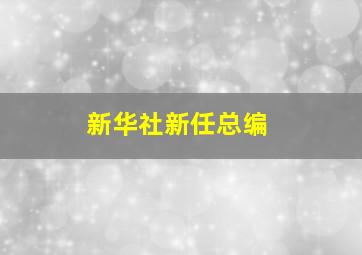 新华社新任总编