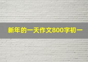 新年的一天作文800字初一